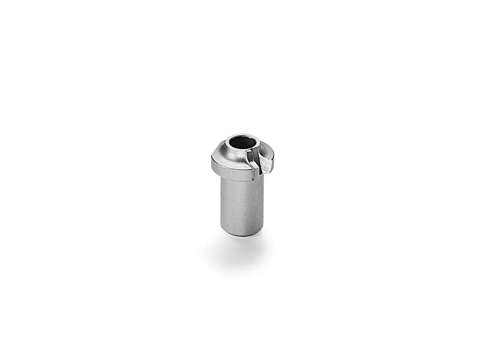 A small, cylindrical beech Domino with a flared, slotted top is displayed against a plain white background.