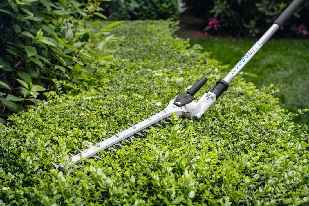 A Stihl HL-KM 145° 600mm L/R Hedge Trimmer rests on a trimmed green hedge amid lush plants and fresh grass in the garden.
