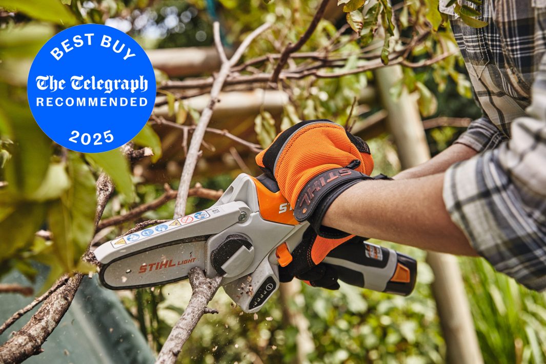 Wearing orange STIHL gloves, a person uses the Stihl GTA 26 (AS) Pruner (No Batt/Chrgr) to cut a tree branch outdoors.