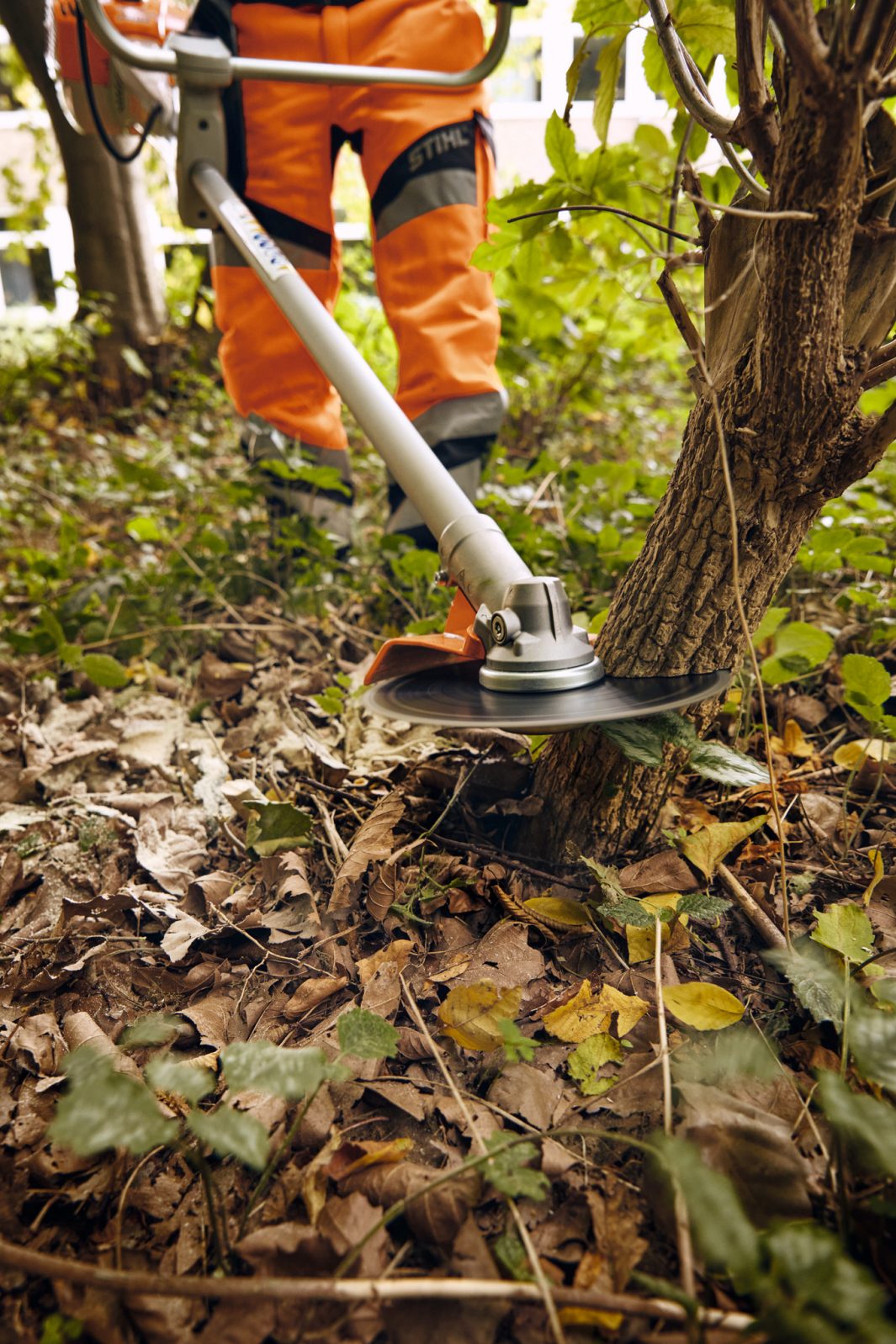 Wearing orange protective gear, a person trims weeds and undergrowth around a small tree in a forested area with a brushcutter.
