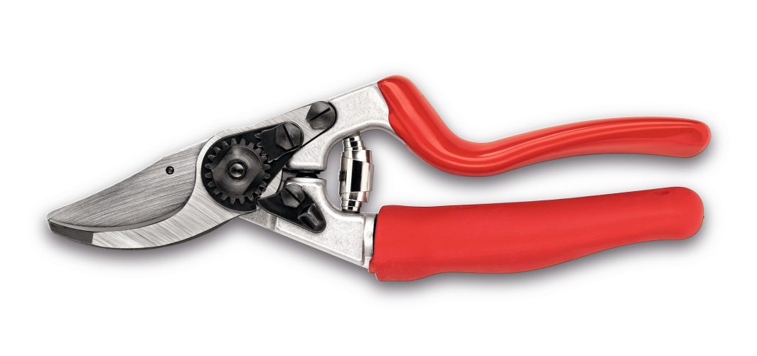 A pair of metal secateurs with sharp curved blades and red rubber handles on a plain white background.