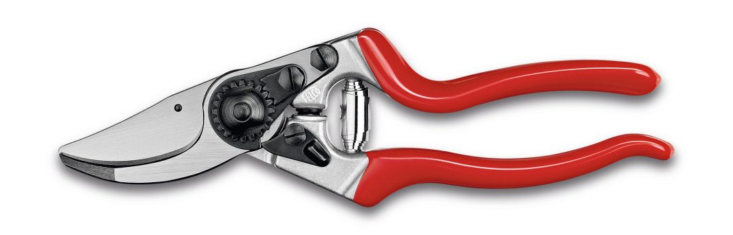 A pair of metal secateurs with red handles and a curved cutting blade on a white background.